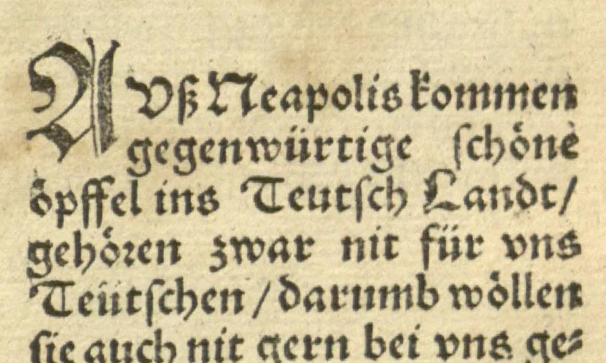 An illustration from Kreu?ter Buch, darin Underscheid, Wu?rckung und Namen der Kreu?ter so in Deutschen Landen wachsen ?auch der selbigen eigentlicher und wolgegru?ndter gebrauch inn der Artznei fleissig dargeben, Leibs Gesundheit zu behalten und zu fu?rderen seer nutzlich und tro?stlich, vorab dem gemeinen einfaltigen man /durch H. Hieronymum Bock aus langwiriger und gewisser erfarung beschriben und jetzund von newem fleissig u?bersehen, gebessert und gemehret, dazu mit hu?pschen artigen Figuren allenthalben gezieret., 1546, leaf 707