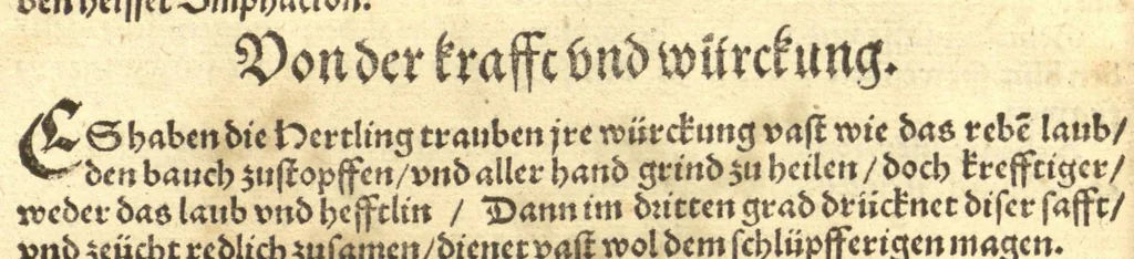 An illustration from Kreu?ter Buch, darin Underscheid, Wu?rckung und Namen der Kreu?ter so in Deutschen Landen wachsen ?auch der selbigen eigentlicher und wolgegru?ndter gebrauch inn der Artznei fleissig dargeben, Leibs Gesundheit zu behalten und zu fu?rderen seer nutzlich und tro?stlich, vorab dem gemeinen einfaltigen man /durch H. Hieronymum Bock aus langwiriger und gewisser erfarung beschriben und jetzund von newem fleissig u?bersehen, gebessert und gemehret, dazu mit hu?pschen artigen Figuren allenthalben gezieret., 1546, leaf 839