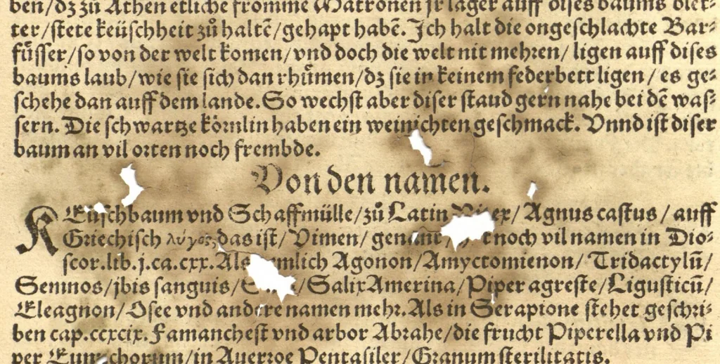 An illustration from Kreu?ter Buch, darin Underscheid, Wu?rckung und Namen der Kreu?ter so in Deutschen Landen wachsen ?auch der selbigen eigentlicher und wolgegru?ndter gebrauch inn der Artznei fleissig dargeben, Leibs Gesundheit zu behalten und zu fu?rderen seer nutzlich und tro?stlich, vorab dem gemeinen einfaltigen man /durch H. Hieronymum Bock aus langwiriger und gewisser erfarung beschriben und jetzund von newem fleissig u?bersehen, gebessert und gemehret, dazu mit hu?pschen artigen Figuren allenthalben gezieret., 1546, leaf 851