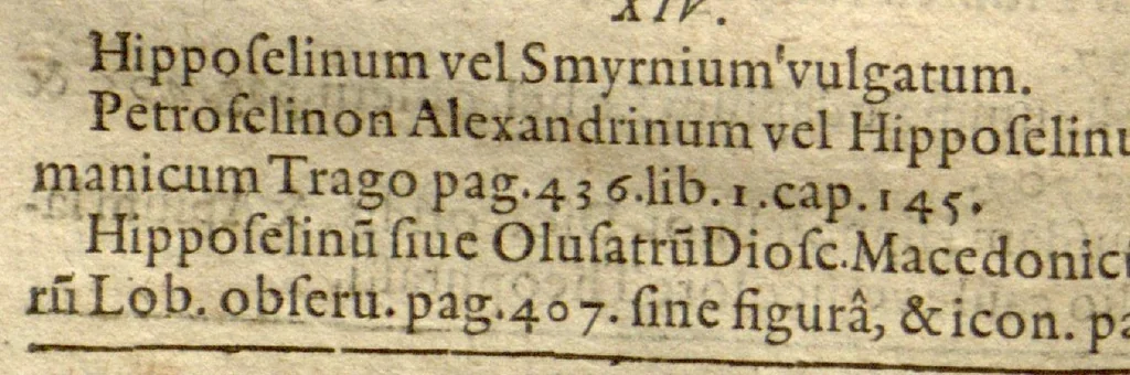 An illustration from Phytopinax, seu, Enumeratio plantarum ab herbariis nostro seculo descriptarum : cum earum differentiis : cui plurimarum hactenus ab iisdem non descriptarum succinctae descriptiones & denominationes accessere : additis aliquot hactenus non sculptarum plantarum viuis iconibus / Casparo Bauhino ..., auctore., 1596, leaf 314