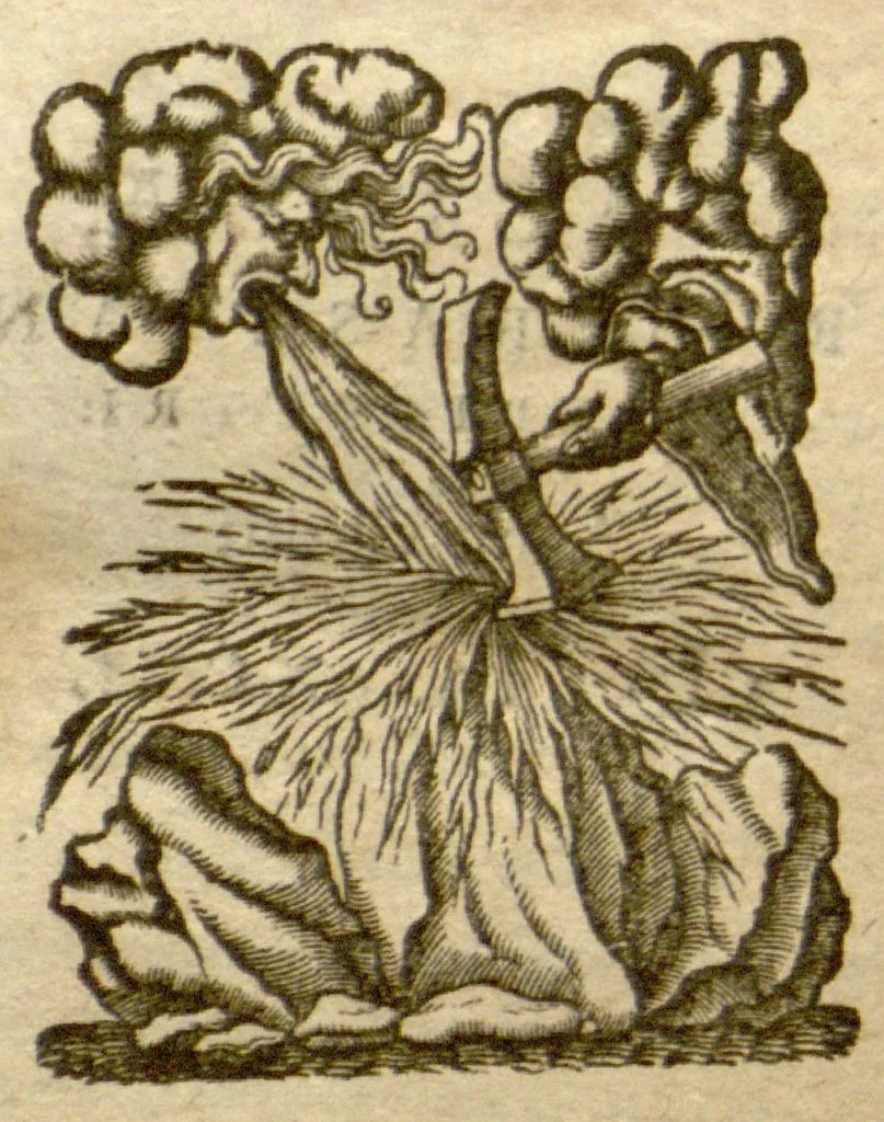 An illustration from Phytopinax, seu, Enumeratio plantarum ab herbariis nostro seculo descriptarum : cum earum differentiis : cui plurimarum hactenus ab iisdem non descriptarum succinctae descriptiones & denominationes accessere : additis aliquot hactenus non sculptarum plantarum viuis iconibus / Casparo Bauhino ..., auctore., 1596, leaf 724