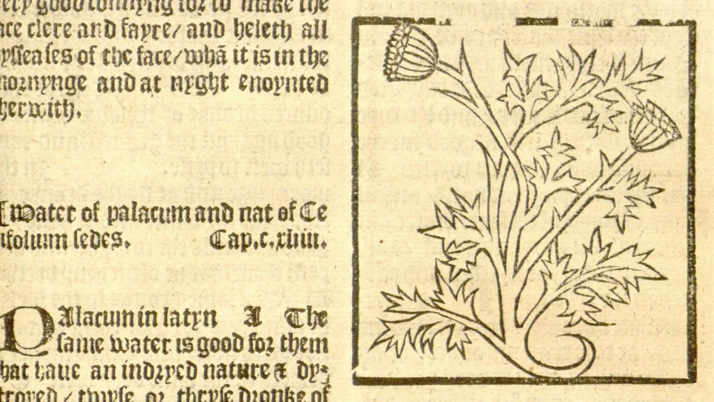 An illustration from The vertuose boke of distyllacyon of the waters of all maner of herbes ?with the fygures of the styllatoryes /fyrst made and compyled by the thyrte yeres study and labour of the moste conynge and famous master of phisyke Master Jherom Bruynswyke ; and now newly translate out of Duyche into Englysshe, not only to the synguler helpe and profyte of the surgyens, phisycyens and apothecaryes, but also of all maner of people parfytely and in dewe tyme and ordre to lerne to dystyll all maner of herbes to the profit, cure, & remedy of all maner dysieases and infirmytees apparant and nat apparant, and ye shall understande that the waters be better than the herbes as Avicenna testefyeth in his fourth canon saynge that all maner medicynes used with theyr substance febleth and maketh aged and weke., 1527, leaf 158