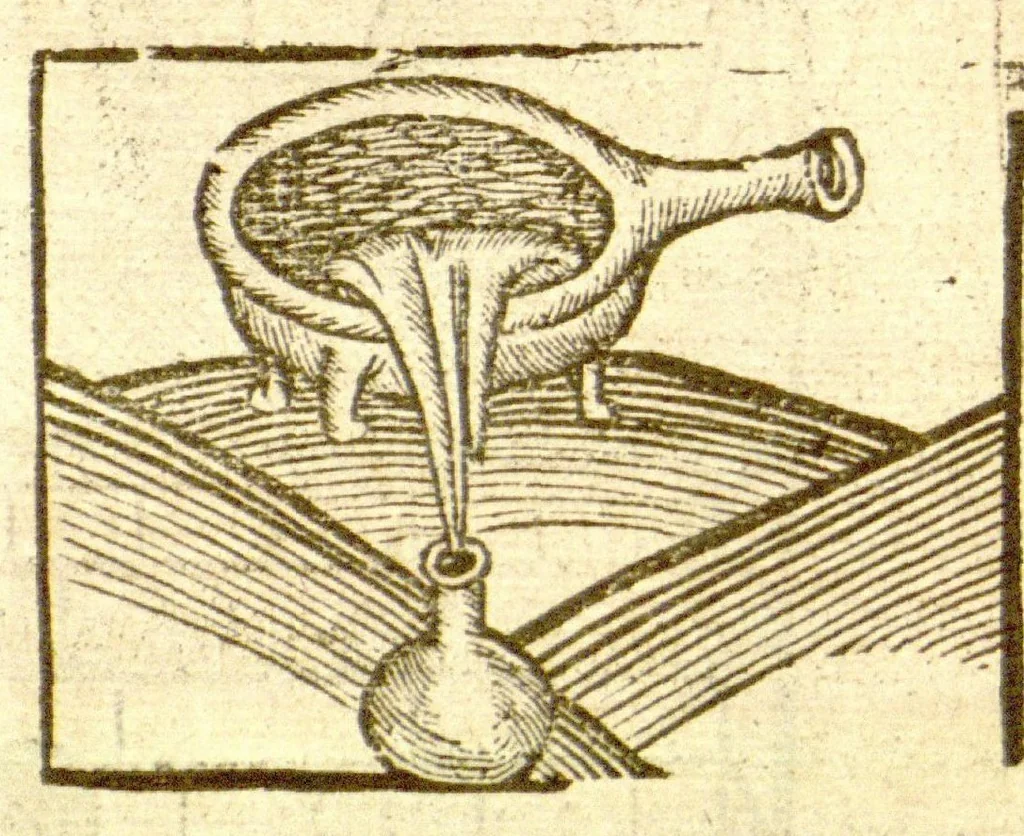 An illustration from The vertuose boke of distyllacyon of the waters of all maner of herbes ?with the fygures of the styllatoryes /fyrst made and compyled by the thyrte yeres study and labour of the moste conynge and famous master of phisyke Master Jherom Bruynswyke ; and now newly translate out of Duyche into Englysshe, not only to the synguler helpe and profyte of the surgyens, phisycyens and apothecaryes, but also of all maner of people parfytely and in dewe tyme and ordre to lerne to dystyll all maner of herbes to the profit, cure, & remedy of all maner dysieases and infirmytees apparant and nat apparant, and ye shall understande that the waters be better than the herbes as Avicenna testefyeth in his fourth canon saynge that all maner medicynes used with theyr substance febleth and maketh aged and weke., 1527, leaf 21