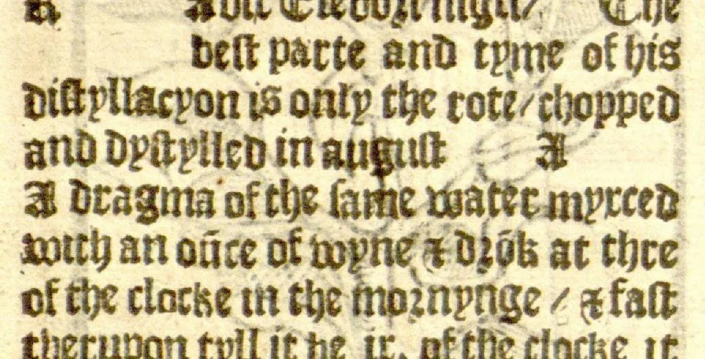 An illustration from The vertuose boke of distyllacyon of the waters of all maner of herbes ?with the fygures of the styllatoryes /fyrst made and compyled by the thyrte yeres study and labour of the moste conynge and famous master of phisyke Master Jherom Bruynswyke ; and now newly translate out of Duyche into Englysshe, not only to the synguler helpe and profyte of the surgyens, phisycyens and apothecaryes, but also of all maner of people parfytely and in dewe tyme and ordre to lerne to dystyll all maner of herbes to the profit, cure, & remedy of all maner dysieases and infirmytees apparant and nat apparant, and ye shall understande that the waters be better than the herbes as Avicenna testefyeth in his fourth canon saynge that all maner medicynes used with theyr substance febleth and maketh aged and weke., 1527, leaf 265