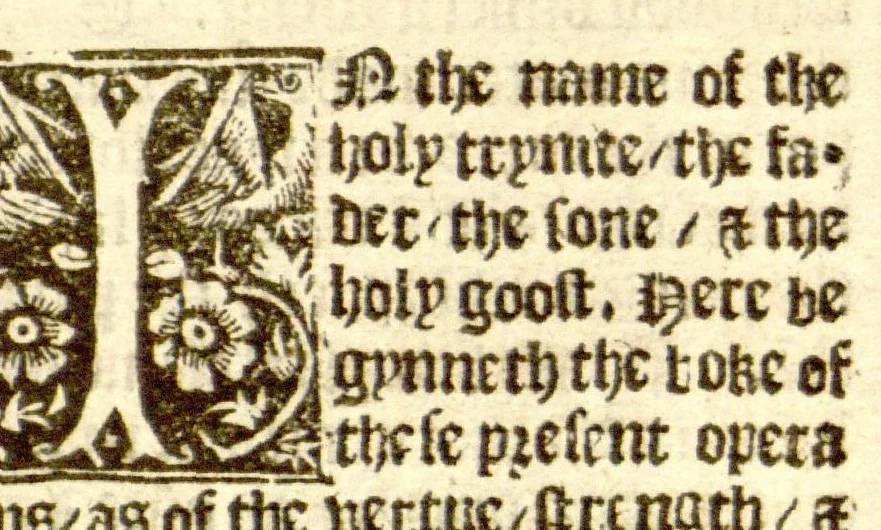 An illustration from The vertuose boke of distyllacyon of the waters of all maner of herbes ?with the fygures of the styllatoryes /fyrst made and compyled by the thyrte yeres study and labour of the moste conynge and famous master of phisyke Master Jherom Bruynswyke ; and now newly translate out of Duyche into Englysshe, not only to the synguler helpe and profyte of the surgyens, phisycyens and apothecaryes, but also of all maner of people parfytely and in dewe tyme and ordre to lerne to dystyll all maner of herbes to the profit, cure, & remedy of all maner dysieases and infirmytees apparant and nat apparant, and ye shall understande that the waters be better than the herbes as Avicenna testefyeth in his fourth canon saynge that all maner medicynes used with theyr substance febleth and maketh aged and weke., 1527, leaf 72