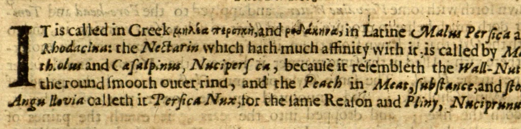 An illustration from Adam in Eden, or, Natures paradise ?the history of plants, fruits, herbs and flowers ? with their several names, whether Greek, Latin or English, the places where they grow, their descriptions and kinds, their times of flourishing and decreasing, as also their several signatures, anatomical appropriations, and particular physical vertues, together with necessary observations on the seasons of planting, and gathering of our English simples with directions how to preserve them in their compositions or otherwise ... For the herbalists greater benefit, there is annexed a Latin and English table of the several names of simples, with another more particular table of the diseases, and their cures, treated of in this so necessary a work /by William Coles ..., 1657, leaf 336