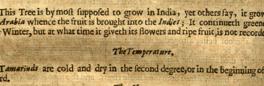 An illustration from Adam in Eden, or, Natures paradise ?the history of plants, fruits, herbs and flowers ? with their several names, whether Greek, Latin or English, the places where they grow, their descriptions and kinds, their times of flourishing and decreasing, as also their several signatures, anatomical appropriations, and particular physical vertues, together with necessary observations on the seasons of planting, and gathering of our English simples with directions how to preserve them in their compositions or otherwise ... For the herbalists greater benefit, there is annexed a Latin and English table of the several names of simples, with another more particular table of the diseases, and their cures, treated of in this so necessary a work /by William Coles ..., 1657, leaf 391