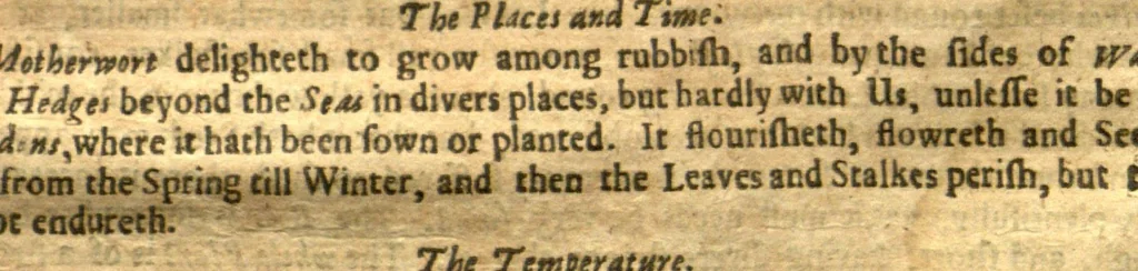 An illustration from Adam in Eden, or, Natures paradise ?the history of plants, fruits, herbs and flowers ? with their several names, whether Greek, Latin or English, the places where they grow, their descriptions and kinds, their times of flourishing and decreasing, as also their several signatures, anatomical appropriations, and particular physical vertues, together with necessary observations on the seasons of planting, and gathering of our English simples with directions how to preserve them in their compositions or otherwise ... For the herbalists greater benefit, there is annexed a Latin and English table of the several names of simples, with another more particular table of the diseases, and their cures, treated of in this so necessary a work /by William Coles ..., 1657, leaf 558