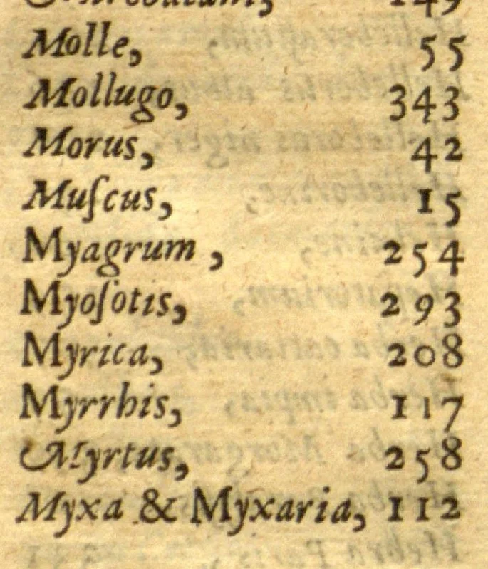 An illustration from Adam in Eden, or, Natures paradise ?the history of plants, fruits, herbs and flowers ? with their several names, whether Greek, Latin or English, the places where they grow, their descriptions and kinds, their times of flourishing and decreasing, as also their several signatures, anatomical appropriations, and particular physical vertues, together with necessary observations on the seasons of planting, and gathering of our English simples with directions how to preserve them in their compositions or otherwise ... For the herbalists greater benefit, there is annexed a Latin and English table of the several names of simples, with another more particular table of the diseases, and their cures, treated of in this so necessary a work /by William Coles ..., 1657, leaf 620