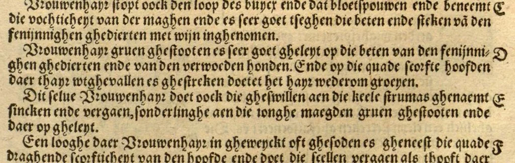 An illustration from Crŭÿde boeck : in den welcken die geheele historie dat es tgheslacht, tfatsoen, nae[m], natuere, cracht ende werckinghe, van den cruyden, niet alleen hier te lande wassende, maer oock van de[n] andere[n] Vremde[n] in der medecynen oorboorlijck, met grooter neersticheyt begrepen ende verclaert es, met der seluer cruyden natuerlijck naer dat leuen conterfeytsel daer by ghestelt / duer D. Rembert Dodoens ... Van nieuws ouersien, ende met seer veel schoone nieuwe figueren vermeerdert., 1563, leaf 393