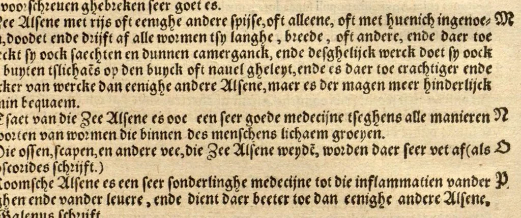 An illustration from Crŭÿde boeck : in den welcken die geheele historie dat es tgheslacht, tfatsoen, nae[m], natuere, cracht ende werckinghe, van den cruyden, niet alleen hier te lande wassende, maer oock van de[n] andere[n] Vremde[n] in der medecynen oorboorlijck, met grooter neersticheyt begrepen ende verclaert es, met der seluer cruyden natuerlijck naer dat leuen conterfeytsel daer by ghestelt / duer D. Rembert Dodoens ... Van nieuws ouersien, ende met seer veel schoone nieuwe figueren vermeerdert., 1563, leaf 48