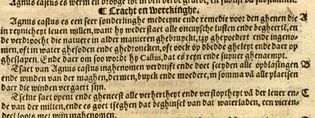 An illustration from Crŭÿde boeck : in den welcken die geheele historie dat es tgheslacht, tfatsoen, nae[m], natuere, cracht ende werckinghe, van den cruyden, niet alleen hier te lande wassende, maer oock van de[n] andere[n] Vremde[n] in der medecynen oorboorlijck, met grooter neersticheyt begrepen ende verclaert es, met der seluer cruyden natuerlijck naer dat leuen conterfeytsel daer by ghestelt / duer D. Rembert Dodoens ... Van nieuws ouersien, ende met seer veel schoone nieuwe figueren vermeerdert., 1563, leaf 645
