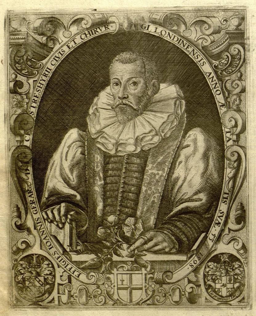 An illustration from The Herball, or, Generall historie of plantes /gathered by John Gerarde of London, master in chirurgerie., 1597, leaf 20