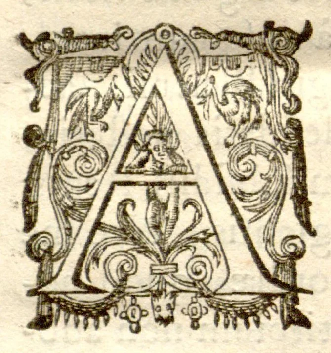 An illustration from Dionysii Ioncquet ... Hortus, sive, Index onomasticus plantarum : quas excolebat Parisiis annis 1658. & 1659. Accessit ad calcem, Stirpium aliquot paulo obscurius denominatarum officinis, Arabibus, aliis / per Casparum Bauhinum explicatio., 1659, leaf 10