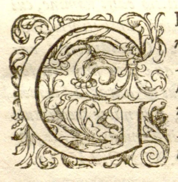 An illustration from Dionysii Ioncquet ... Hortus, sive, Index onomasticus plantarum : quas excolebat Parisiis annis 1658. & 1659. Accessit ad calcem, Stirpium aliquot paulo obscurius denominatarum officinis, Arabibus, aliis / per Casparum Bauhinum explicatio., 1659, leaf 16