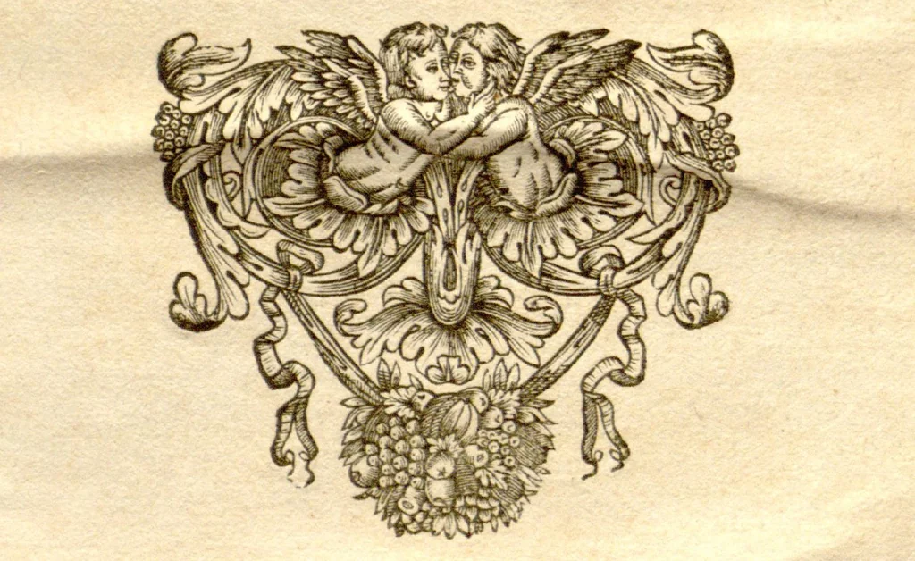 An illustration from Dionysii Ioncquet ... Hortus, sive, Index onomasticus plantarum : quas excolebat Parisiis annis 1658. & 1659. Accessit ad calcem, Stirpium aliquot paulo obscurius denominatarum officinis, Arabibus, aliis / per Casparum Bauhinum explicatio., 1659, leaf 206