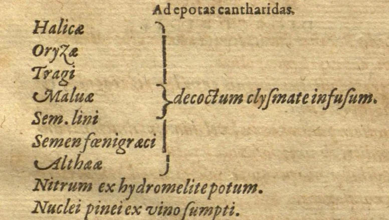 An illustration from Petri Andreae Matthioli ... Opera quae extant omnia, hoc est, Commentarii in VI. libros Pedacii Dioscoridis Anazarbei De medica materia : ... Adiectis in margine variis Graeci textus lectionibus, ex antiquissimus codicibus desumptis, qui Dioscorides depravatam lectionem restituunt / nunc à Casparo Bauhino ... Post diversarum editionum collationem infinitis locis aucti Synonymiis quoque plantarum et notis illustrate. Adjectis plantarum iconibus, supra priores editiones plus quam trecentis (quarum quamphurimae nunc primùm describuntur ad vivum delineatis. De ratione distillandi aquas ex omnibus plantis: et quomodo genuini odores in ipsis aquis conservari possint. Item, Apologia in Amatum Lusitanum, cum censura in ejusdem Enarrationes. Epistolarum medicinalium libri quinque. Dialogus de Morbo Gallico. Cum locupletissimis indicibus, tum ad rem herbarium, tum medicamentarium pertinentibus ..., 1598, leaf 97