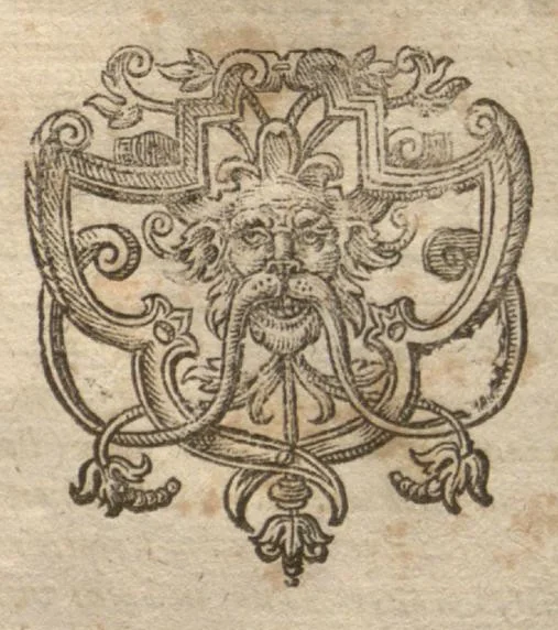 An illustration from Petri Matthioli ... Opera quae extant òmnia, hoc est, Commentarii in VI. libros Pedacii Dioscoridis Anazarbei De medica materia : adjectis in margine variis Graeci testus lectionibus, ex antiquissimis codicibus desumptis, qui Dioscorides depravatam lectionem restituunt / a Casparo Bauhino ... post diversarum editionum collationem infinitis locis aucti. Synonymiis quoq. plantarum et notis illustrati. Adjectis plantarum iconibus, supra priores editiones plus quàm trecentis : (quarum quamplurimae hic primùm describuntur) ad vivum delinatis. De ratione distillandi aquas ex omnibus plantis : et quomodo genuini odores in ipsis aquis conservari possint. Item, Apologia in Amatum Lusitanum, cum censura in ejusdem Enarrationes. Epistolarum medicinalium libri quinque. Dialogus De morbo Gallico. Cum locupletissimis indicibus, tum ad rem herbariam, tum medicamentariam pertinentibus., 1674, leaf 1180