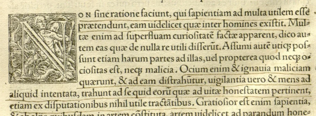 An illustration from Hippocratis coi medicorum omnium longe principis, opera quae ad nos extant omnia /per Ianum Cornarium medicum physicum Latina lingua conscripta ; index rerum ad calcem operis universi annexus est foecundissimus., 1546, leaf 34
