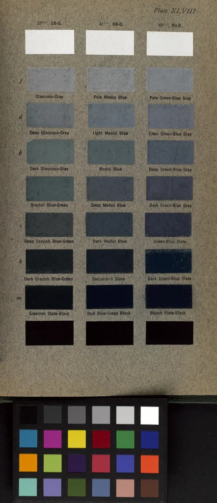 An illustration from Color standards and color nomenclature,Robert Ridgway ... With fifty?three colored plates and eleven hundred and fifteen named colors., 1912, leaf 103