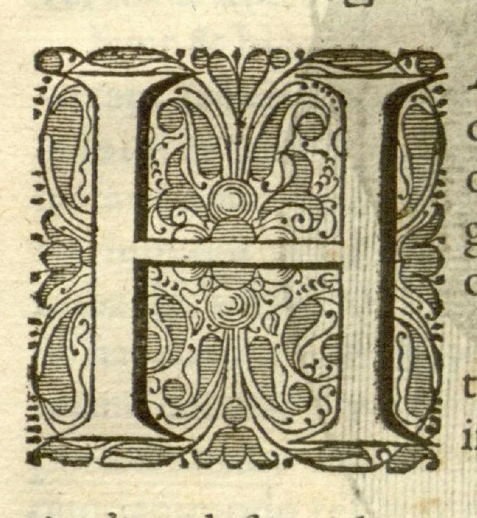 An illustration from Gulielmi Pisonis ... De Indiae utriusque re naturali et medica libri quatuordecim ?quorum contenta pagina sequens exhibet., 1658, leaf 359
