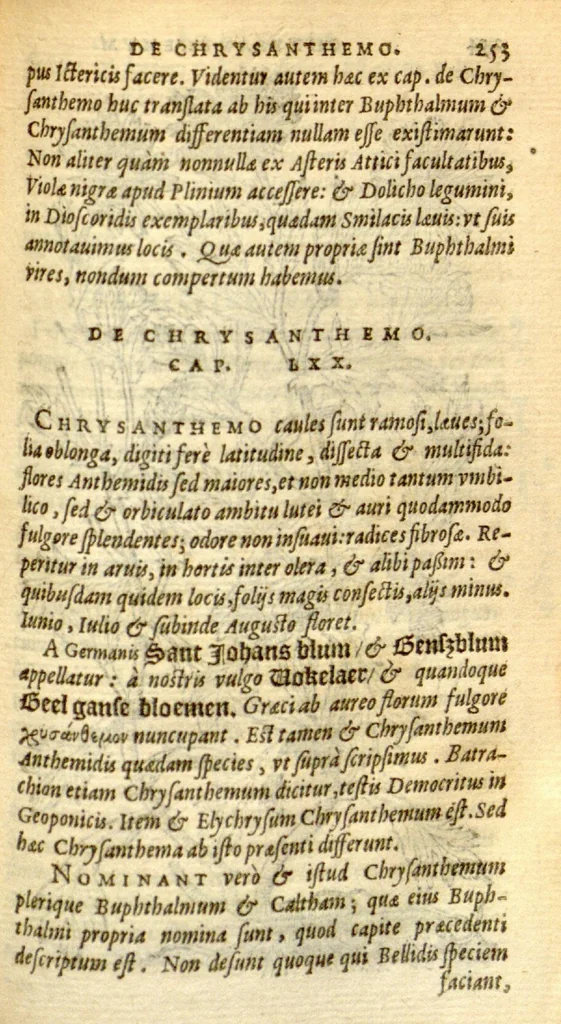 An illustration from Florum, et coronarianum odoratarumque nonnullarum herbarum historia /Remberto Dodonaeo ... auctore., 1569, leaf 253