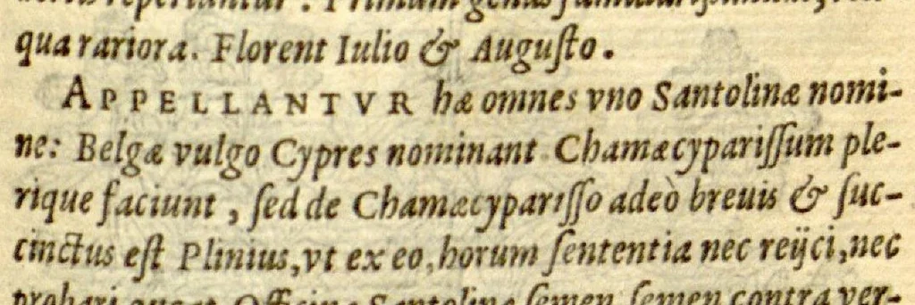 An illustration from Florum, et coronarianum odoratarumque nonnullarum herbarum historia /Remberto Dodonaeo ... auctore., 1569, leaf 267