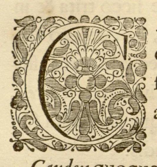 An illustration from Hortus Indicus Malabaricus ?continens regni Malabarici apud Indos cereberrimi onmis generis plantas rariores, Latinas, Malabaricis, Arabicis, Brachmanum charactareibus hominibusque expressas ... /adornatus per Henricum van Rheede, van Draakenstein, ... et Johannem Casearium ... ; notis adauxit, & commentariis illustravit Arnoldus Syen ..., 1678, leaf 111