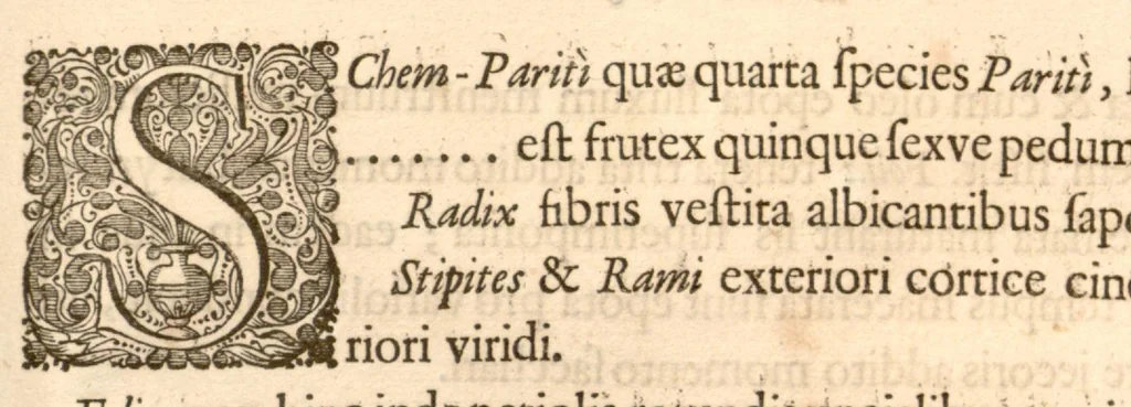 An illustration from Hortus Indicus Malabaricus ?continens regni Malabarici apud Indos cereberrimi onmis generis plantas rariores, Latinas, Malabaricis, Arabicis, Brachmanum charactareibus hominibusque expressas ... /adornatus per Henricum van Rheede, van Draakenstein, ... et Johannem Casearium ... ; notis adauxit, & commentariis illustravit Arnoldus Syen ..., 1678, leaf 226