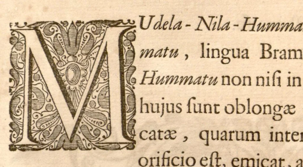 An illustration from Hortus Indicus Malabaricus ?continens regni Malabarici apud Indos cereberrimi onmis generis plantas rariores, Latinas, Malabaricis, Arabicis, Brachmanum charactareibus hominibusque expressas ... /adornatus per Henricum van Rheede, van Draakenstein, ... et Johannem Casearium ... ; notis adauxit, & commentariis illustravit Arnoldus Syen ..., 1678, leaf 265
