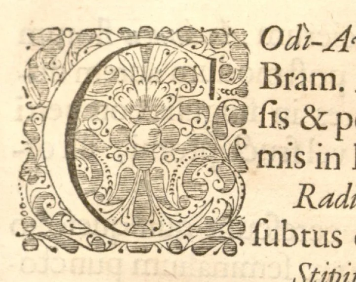 An illustration from Hortus Indicus Malabaricus ?continens regni Malabarici apud Indos cereberrimi onmis generis plantas rariores, Latinas, Malabaricis, Arabicis, Brachmanum charactareibus hominibusque expressas ... /adornatus per Henricum van Rheede, van Draakenstein, ... et Johannem Casearium ... ; notis adauxit, & commentariis illustravit Arnoldus Syen ..., 1678, leaf 281