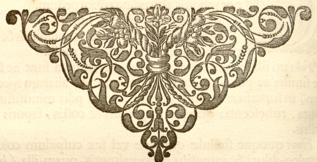 An illustration from Hortus Indicus Malabaricus ?continens regni Malabarici apud Indos cereberrimi onmis generis plantas rariores, Latinas, Malabaricis, Arabicis, Brachmanum charactareibus hominibusque expressas ... /adornatus per Henricum van Rheede, van Draakenstein, ... et Johannem Casearium ... ; notis adauxit, & commentariis illustravit Arnoldus Syen ..., 1678, leaf 291