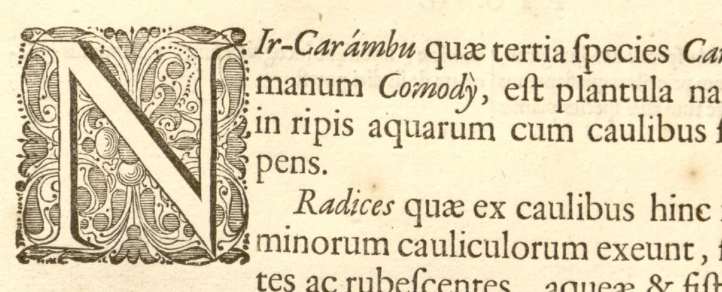 An illustration from Hortus Indicus Malabaricus ?continens regni Malabarici apud Indos cereberrimi onmis generis plantas rariores, Latinas, Malabaricis, Arabicis, Brachmanum charactareibus hominibusque expressas ... /adornatus per Henricum van Rheede, van Draakenstein, ... et Johannem Casearium ... ; notis adauxit, & commentariis illustravit Arnoldus Syen ..., 1678, leaf 330