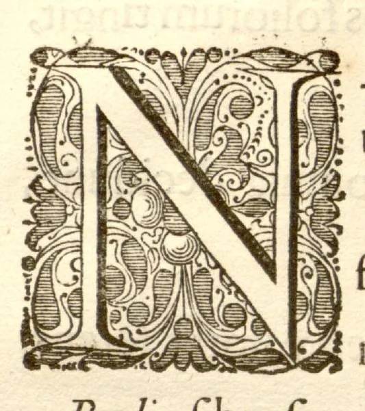 An illustration from Hortus Indicus Malabaricus ?continens regni Malabarici apud Indos cereberrimi onmis generis plantas rariores, Latinas, Malabaricis, Arabicis, Brachmanum charactareibus hominibusque expressas ... /adornatus per Henricum van Rheede, van Draakenstein, ... et Johannem Casearium ... ; notis adauxit, & commentariis illustravit Arnoldus Syen ..., 1678, leaf 338