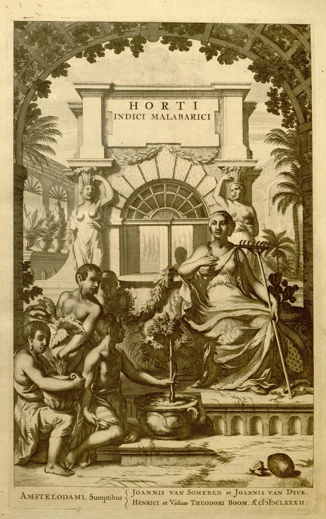 An illustration from Hortus Indicus Malabaricus ?continens regni Malabarici apud Indos cereberrimi onmis generis plantas rariores, Latinas, Malabaricis, Arabicis, Brachmanum charactareibus hominibusque expressas ... /adornatus per Henricum van Rheede, van Draakenstein, ... et Johannem Casearium ... ; notis adauxit, & commentariis illustravit Arnoldus Syen ..., 1678, leaf 4