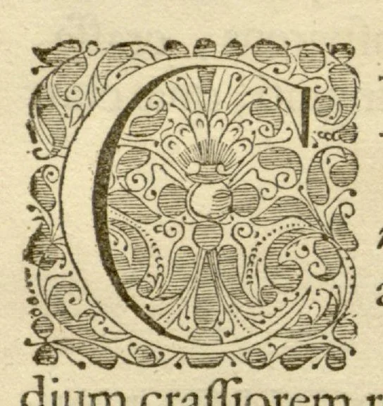 An illustration from Hortus Indicus Malabaricus ?continens regni Malabarici apud Indos cereberrimi onmis generis plantas rariores, Latinas, Malabaricis, Arabicis, Brachmanum charactareibus hominibusque expressas ... /adornatus per Henricum van Rheede, van Draakenstein, ... et Johannem Casearium ... ; notis adauxit, & commentariis illustravit Arnoldus Syen ..., 1678, leaf 40