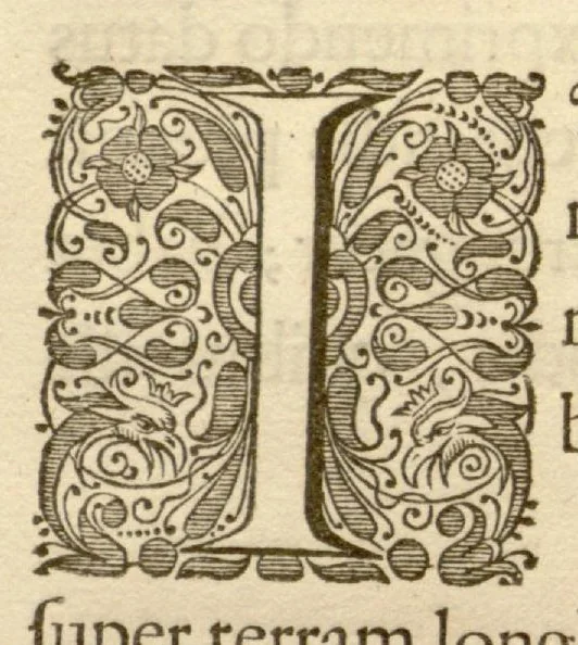 An illustration from Hortus Indicus Malabaricus ?continens regni Malabarici apud Indos cereberrimi onmis generis plantas rariores, Latinas, Malabaricis, Arabicis, Brachmanum charactareibus hominibusque expressas ... /adornatus per Henricum van Rheede, van Draakenstein, ... et Johannem Casearium ... ; notis adauxit, & commentariis illustravit Arnoldus Syen ..., 1678, leaf 90