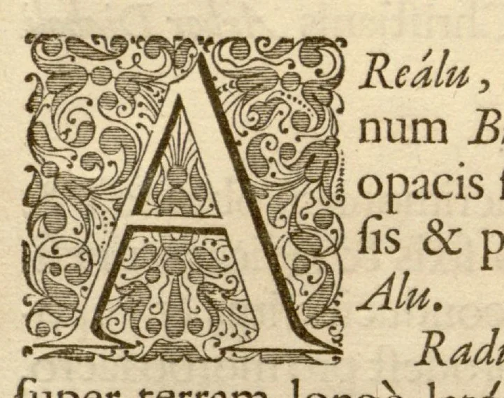 An illustration from Hortus Indicus Malabaricus ?continens regni Malabarici apud Indos cereberrimi onmis generis plantas rariores, Latinas, Malabaricis, Arabicis, Brachmanum charactareibus hominibusque expressas ... /adornatus per Henricum van Rheede, van Draakenstein, ... et Johannem Casearium ... ; notis adauxit, & commentariis illustravit Arnoldus Syen ..., 1678, leaf 93
