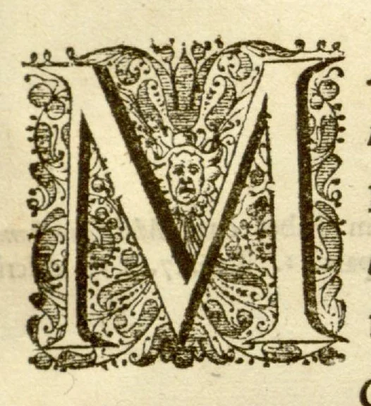 An illustration from Hortus Indicus Malabaricus ?continens regni Malabarici apud Indos cereberrimi onmis generis plantas rariores, Latinas, Malabaricis, Arabicis, Brachmanum charactareibus hominibusque expressas ... /adornatus per Henricum van Rheede, van Draakenstein, ... et Johannem Casearium ... ; notis adauxit, & commentariis illustravit Arnoldus Syen ..., 1678, leaf 189