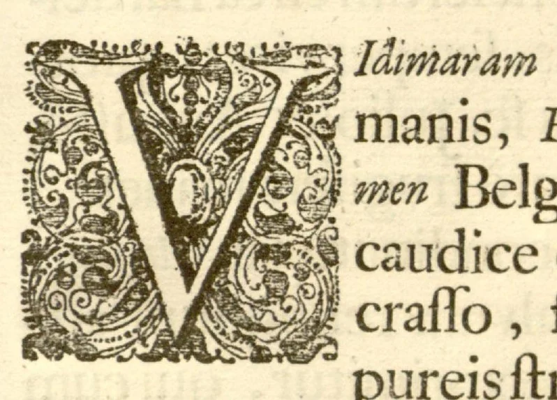 An illustration from Hortus Indicus Malabaricus ?continens regni Malabarici apud Indos cereberrimi onmis generis plantas rariores, Latinas, Malabaricis, Arabicis, Brachmanum charactareibus hominibusque expressas ... /adornatus per Henricum van Rheede, van Draakenstein, ... et Johannem Casearium ... ; notis adauxit, & commentariis illustravit Arnoldus Syen ..., 1678, leaf 275