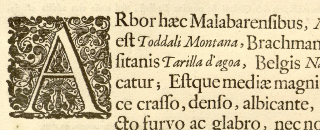 An illustration from Hortus Indicus Malabaricus ?continens regni Malabarici apud Indos cereberrimi onmis generis plantas rariores, Latinas, Malabaricis, Arabicis, Brachmanum charactareibus hominibusque expressas ... /adornatus per Henricum van Rheede, van Draakenstein, ... et Johannem Casearium ... ; notis adauxit, & commentariis illustravit Arnoldus Syen ..., 1678, leaf 283