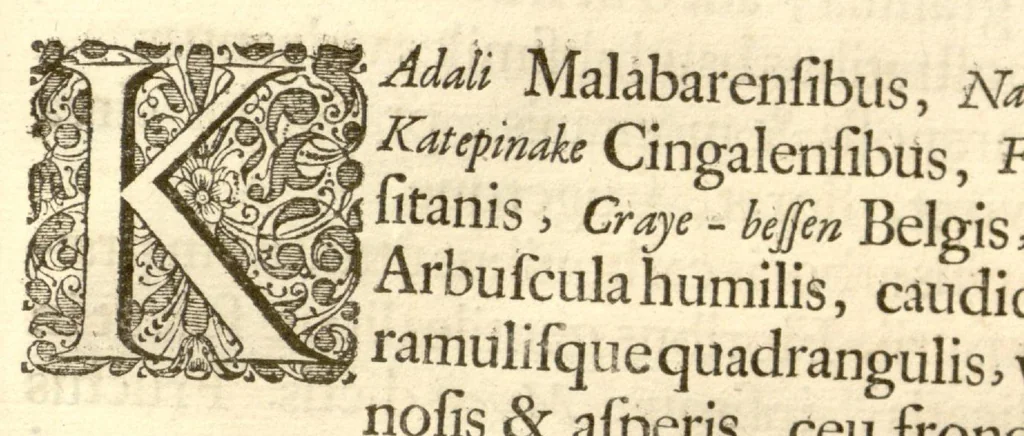 An illustration from Hortus Indicus Malabaricus ?continens regni Malabarici apud Indos cereberrimi onmis generis plantas rariores, Latinas, Malabaricis, Arabicis, Brachmanum charactareibus hominibusque expressas ... /adornatus per Henricum van Rheede, van Draakenstein, ... et Johannem Casearium ... ; notis adauxit, & commentariis illustravit Arnoldus Syen ..., 1678, leaf 289
