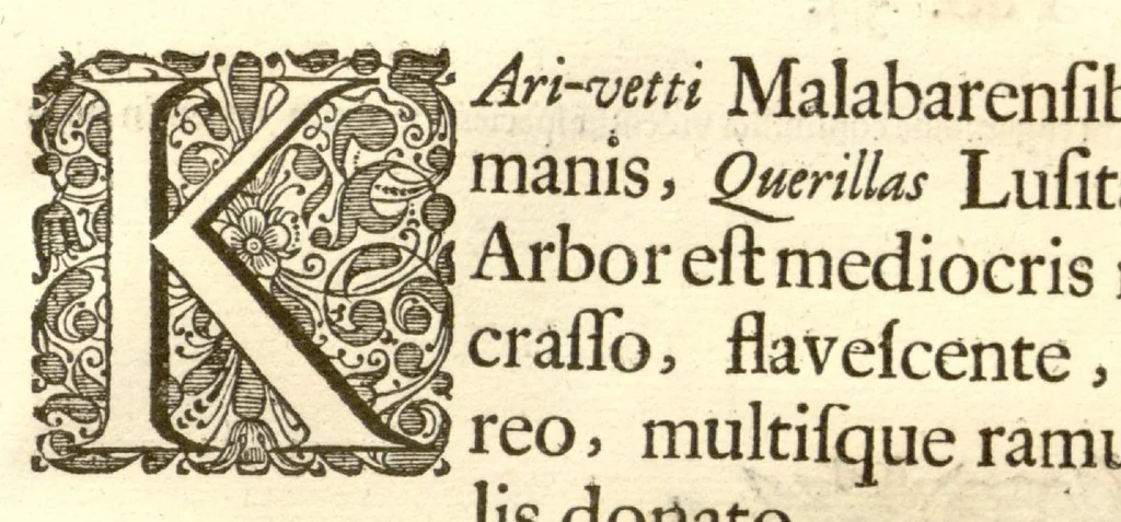 An illustration from Hortus Indicus Malabaricus ?continens regni Malabarici apud Indos cereberrimi onmis generis plantas rariores, Latinas, Malabaricis, Arabicis, Brachmanum charactareibus hominibusque expressas ... /adornatus per Henricum van Rheede, van Draakenstein, ... et Johannem Casearium ... ; notis adauxit, & commentariis illustravit Arnoldus Syen ..., 1678, leaf 321