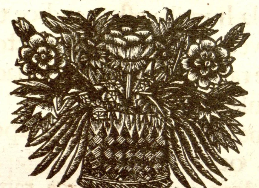 An illustration from Hortus Indicus Malabaricus ?continens regni Malabarici apud Indos cereberrimi onmis generis plantas rariores, Latinas, Malabaricis, Arabicis, Brachmanum charactareibus hominibusque expressas ... /adornatus per Henricum van Rheede, van Draakenstein, ... et Johannem Casearium ... ; notis adauxit, & commentariis illustravit Arnoldus Syen ..., 1678, leaf 330
