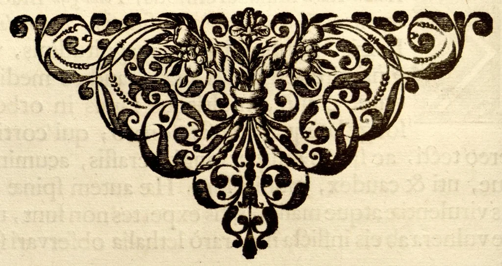 An illustration from Hortus Indicus Malabaricus ?continens regni Malabarici apud Indos cereberrimi onmis generis plantas rariores, Latinas, Malabaricis, Arabicis, Brachmanum charactareibus hominibusque expressas ... /adornatus per Henricum van Rheede, van Draakenstein, ... et Johannem Casearium ... ; notis adauxit, & commentariis illustravit Arnoldus Syen ..., 1678, leaf 106