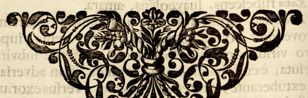 An illustration from Hortus Indicus Malabaricus ?continens regni Malabarici apud Indos cereberrimi onmis generis plantas rariores, Latinas, Malabaricis, Arabicis, Brachmanum charactareibus hominibusque expressas ... /adornatus per Henricum van Rheede, van Draakenstein, ... et Johannem Casearium ... ; notis adauxit, & commentariis illustravit Arnoldus Syen ..., 1678, leaf 109
