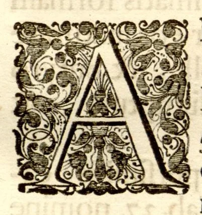 An illustration from Hortus Indicus Malabaricus ?continens regni Malabarici apud Indos cereberrimi onmis generis plantas rariores, Latinas, Malabaricis, Arabicis, Brachmanum charactareibus hominibusque expressas ... /adornatus per Henricum van Rheede, van Draakenstein, ... et Johannem Casearium ... ; notis adauxit, & commentariis illustravit Arnoldus Syen ..., 1678, leaf 124