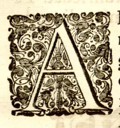 An illustration from Hortus Indicus Malabaricus ?continens regni Malabarici apud Indos cereberrimi onmis generis plantas rariores, Latinas, Malabaricis, Arabicis, Brachmanum charactareibus hominibusque expressas ... /adornatus per Henricum van Rheede, van Draakenstein, ... et Johannem Casearium ... ; notis adauxit, & commentariis illustravit Arnoldus Syen ..., 1678, leaf 138