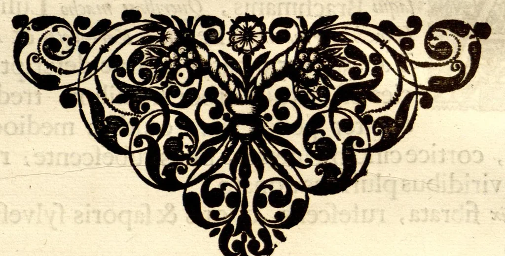 An illustration from Hortus Indicus Malabaricus ?continens regni Malabarici apud Indos cereberrimi onmis generis plantas rariores, Latinas, Malabaricis, Arabicis, Brachmanum charactareibus hominibusque expressas ... /adornatus per Henricum van Rheede, van Draakenstein, ... et Johannem Casearium ... ; notis adauxit, & commentariis illustravit Arnoldus Syen ..., 1678, leaf 155