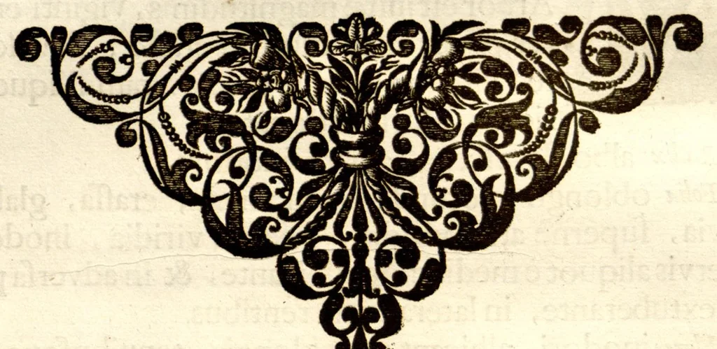 An illustration from Hortus Indicus Malabaricus ?continens regni Malabarici apud Indos cereberrimi onmis generis plantas rariores, Latinas, Malabaricis, Arabicis, Brachmanum charactareibus hominibusque expressas ... /adornatus per Henricum van Rheede, van Draakenstein, ... et Johannem Casearium ... ; notis adauxit, & commentariis illustravit Arnoldus Syen ..., 1678, leaf 158